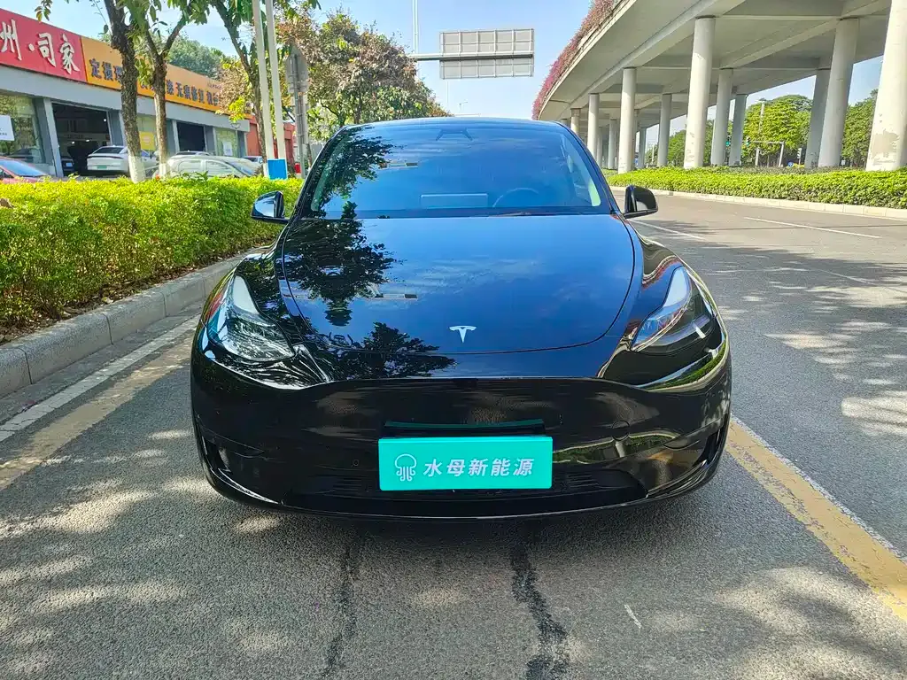 Tesla Model Y — фото 2