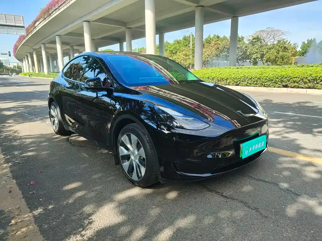 Tesla Model Y — фото 3