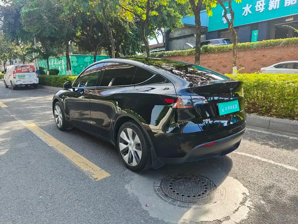 Tesla Model Y — фото 4