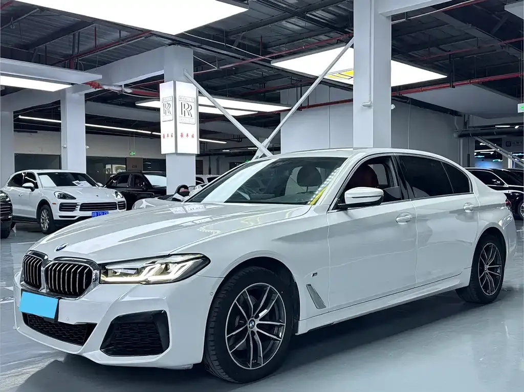 BMW 5 Series 2022 из CN, фото 1