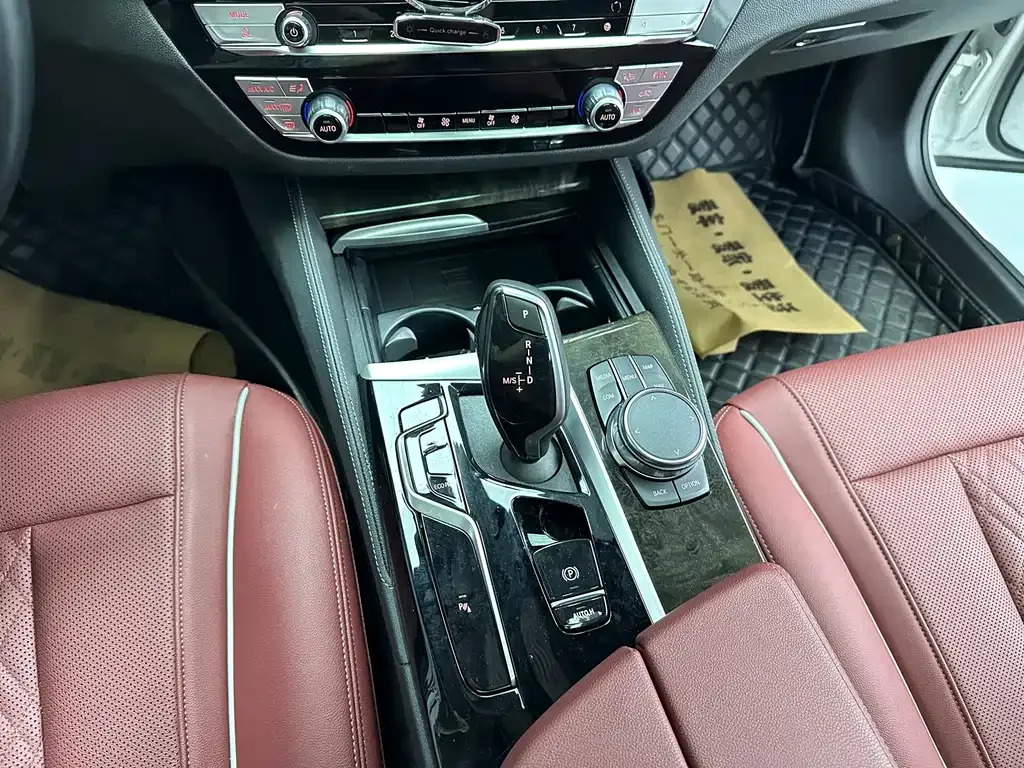 BMW 5 Series 2022 из CN, фото 10