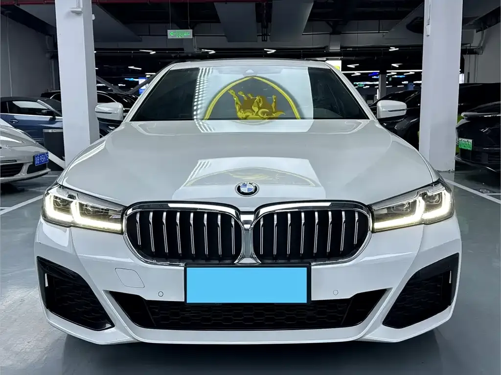 BMW 5 Series 2022 из CN, фото 2