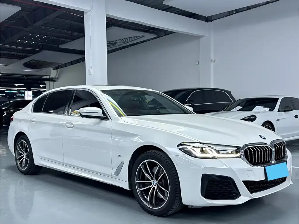 BMW 5 Series 2022 из CN, фото 3