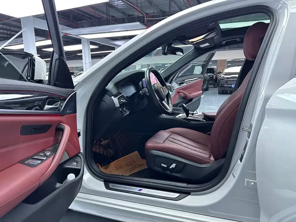 BMW 5 Series 2022 из CN, фото 4
