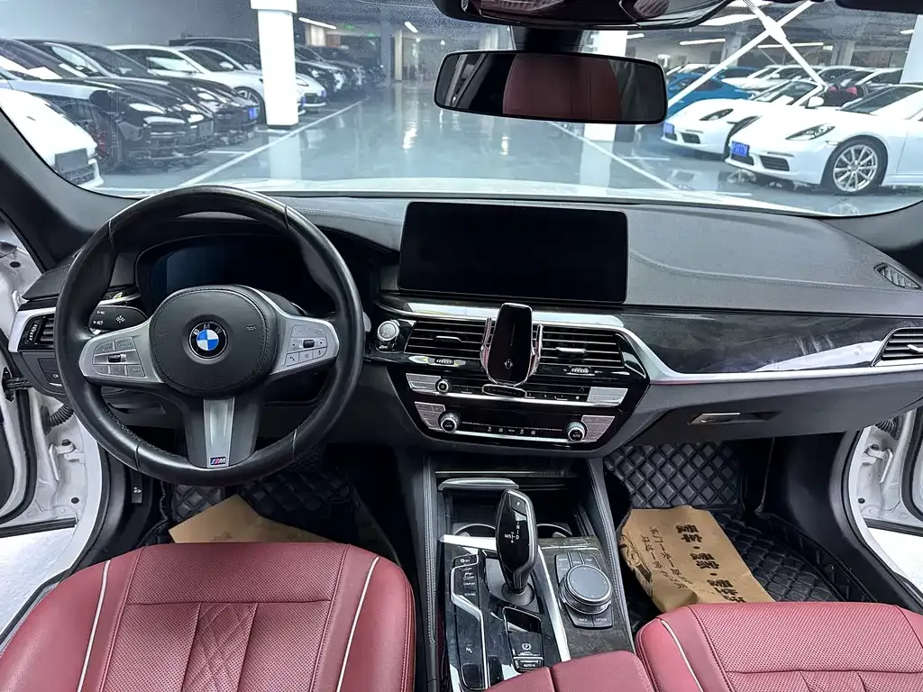 BMW 5 Series 2022 из CN, фото 6