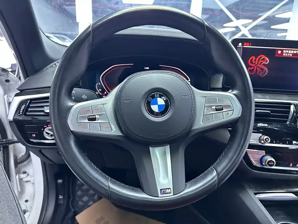 BMW 5 Series 2022 из CN, фото 8