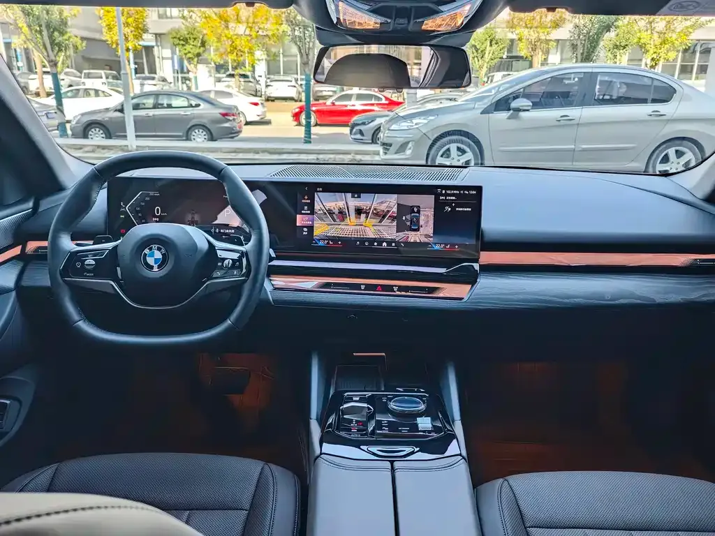 BMW 5 Series 2024 из CN, фото 10