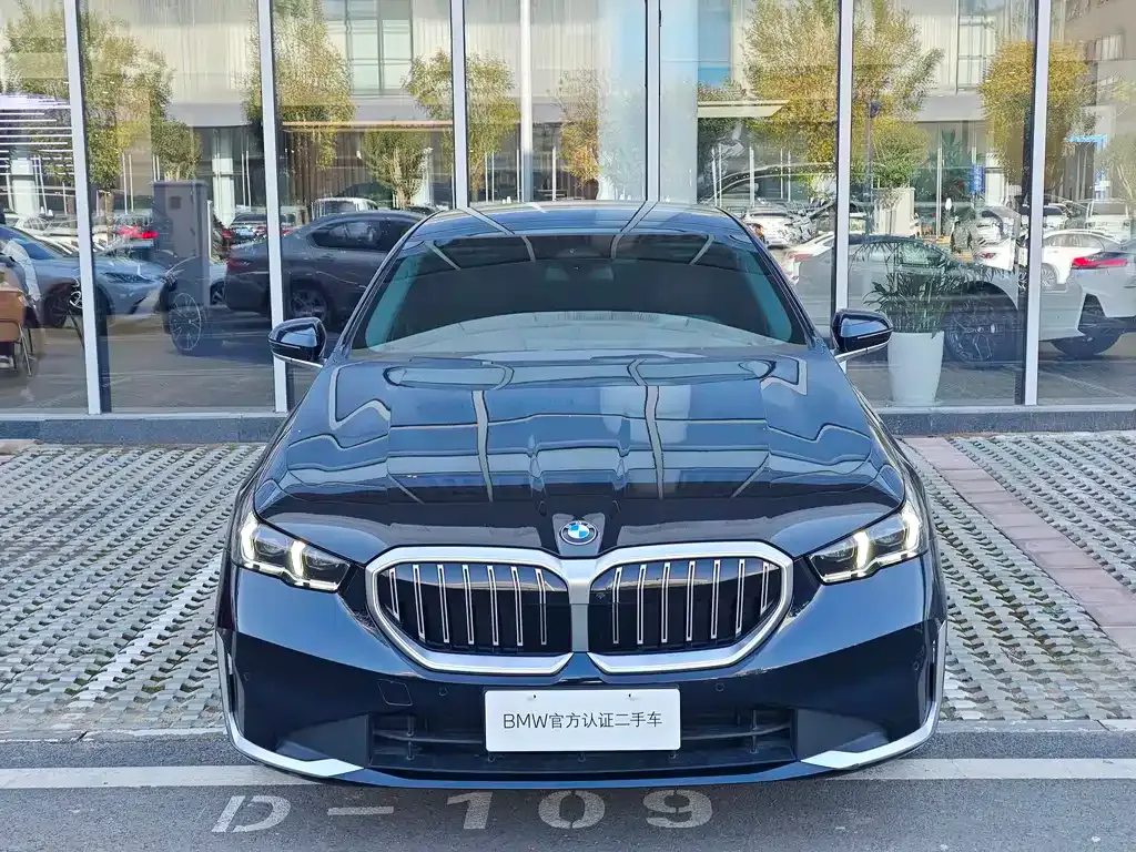 BMW 5 Series 2024 из CN, фото 2