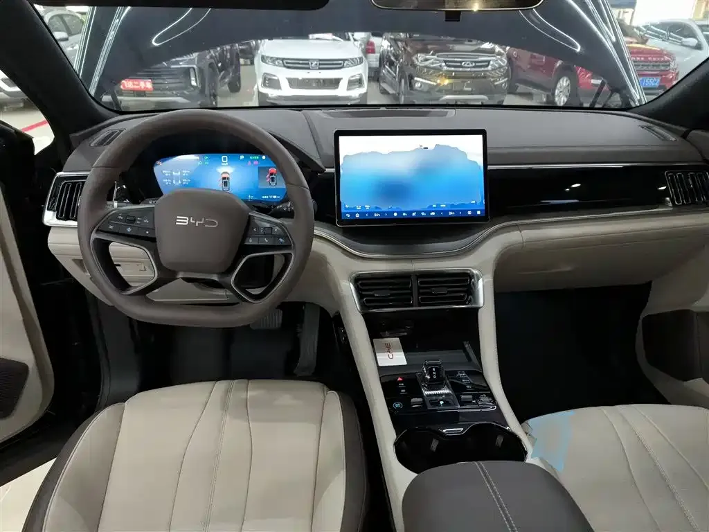 BYD PLUS New Energy — фото 10