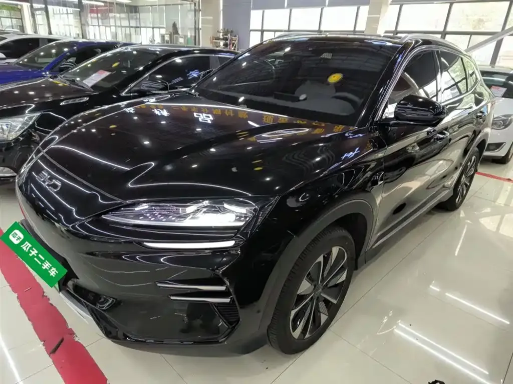 BYD PLUS New Energy — фото 2