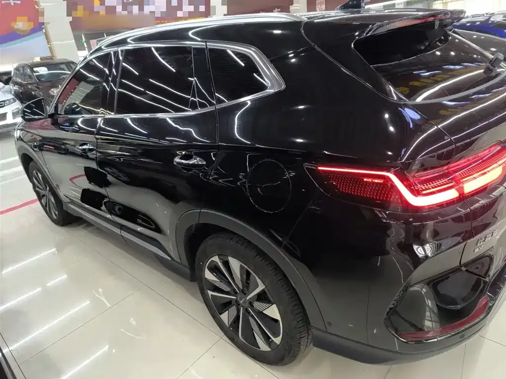 BYD PLUS New Energy — фото 5