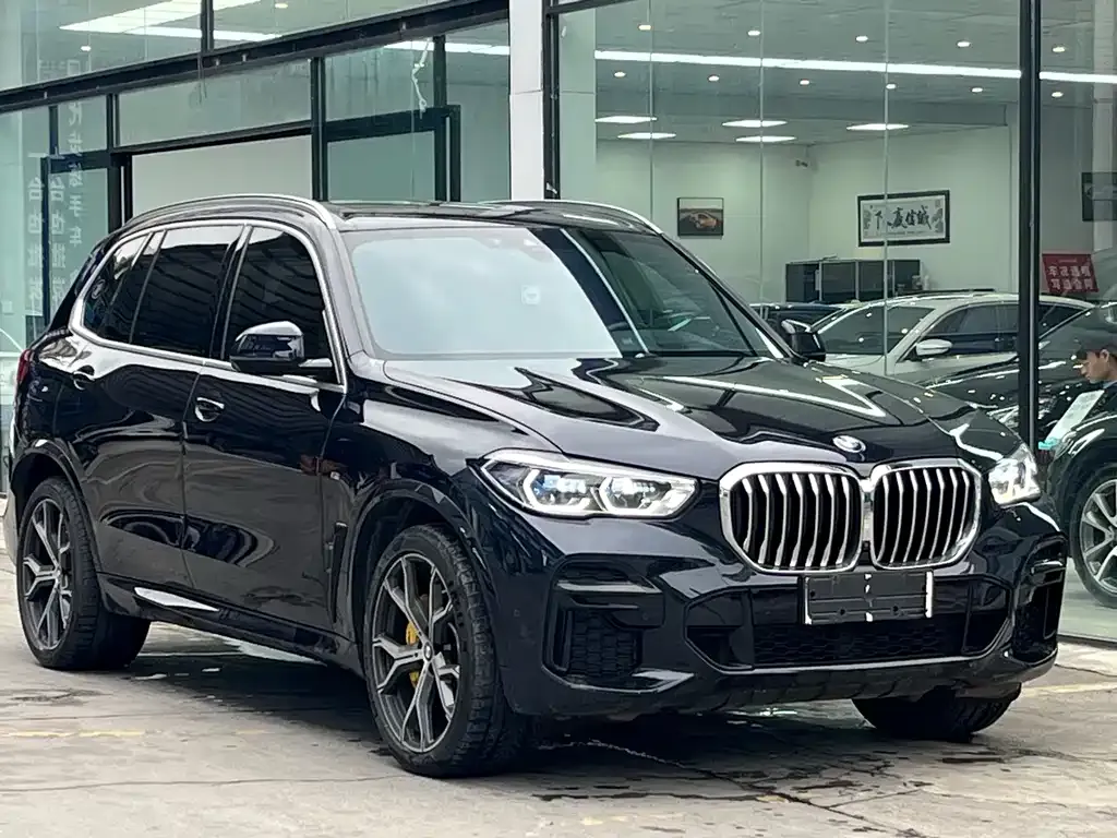 BMW X5 2023 из CN, фото 3