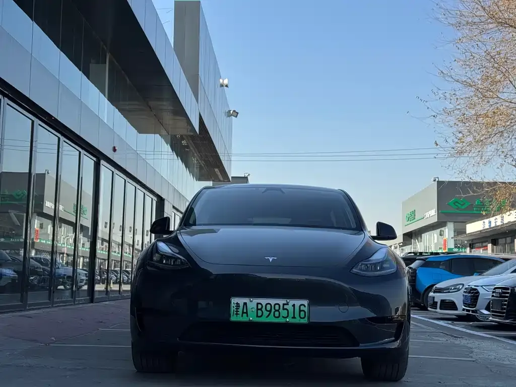 Tesla Model Y 2024 из CN, фото 2