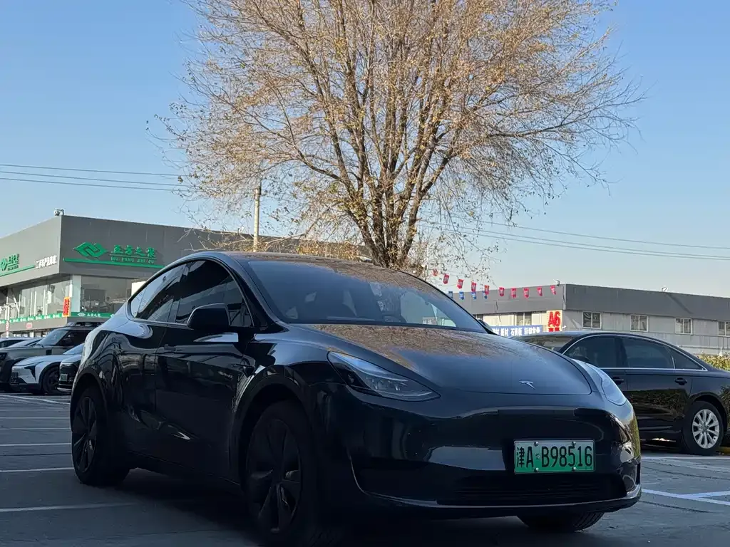 Tesla Model Y 2024 из CN, фото 3