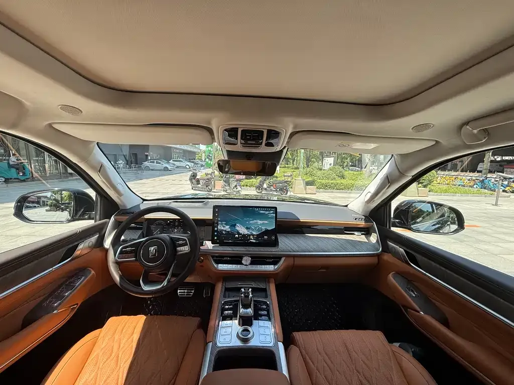 Tank 500 New Energy 2024 из CN, фото 10