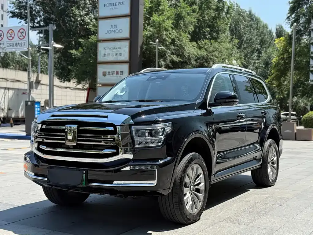 Tank 500 New Energy 2024 из CN, фото 2