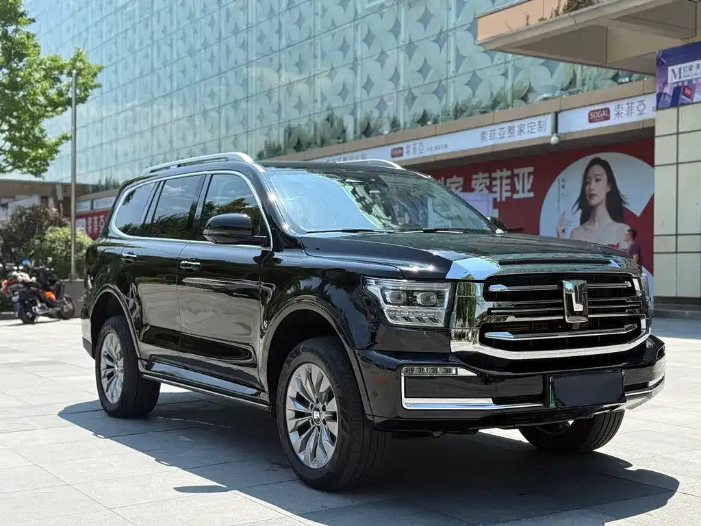 Tank 500 New Energy 2024 из CN, фото 3