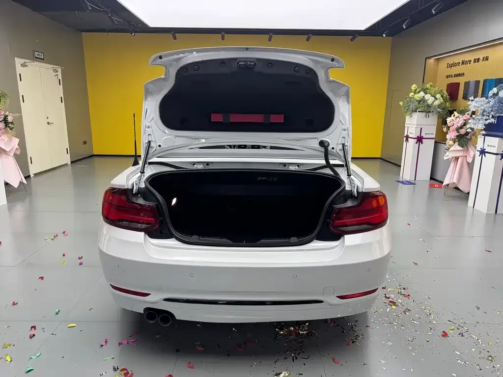 BMW 2 Series (Import) 2021 из CN, фото 10