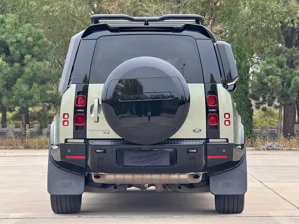 Land Rover Defender 2022 из CN, фото 7