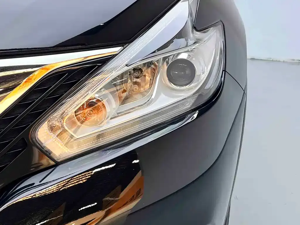 Nissan Murano 2021 из CN, фото 5