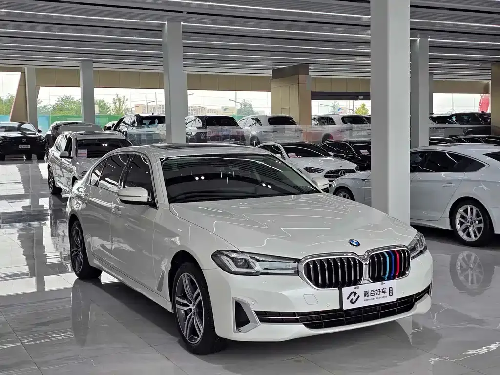 BMW 5 Series 2023 из CN, фото 3