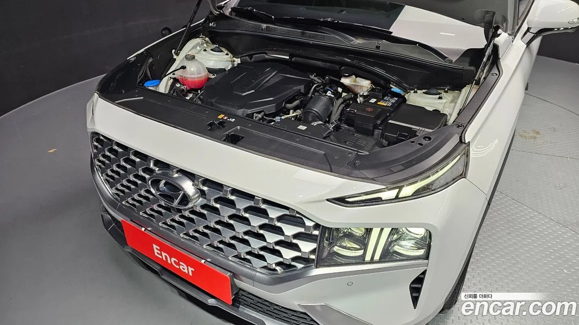 Hyundai Santafe 2021 из KR, фото 6