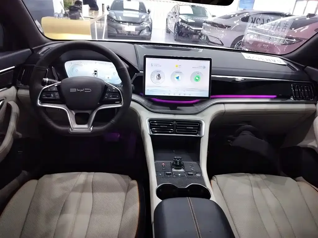 BYD PLUS New Energy — фото 10