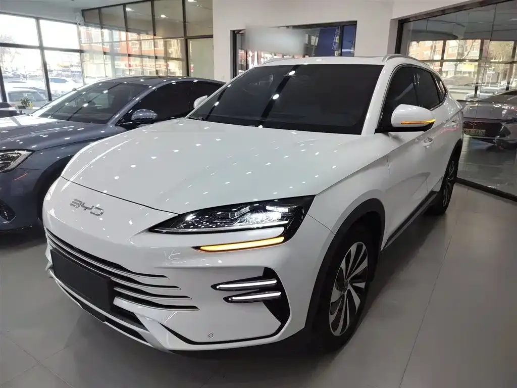 BYD PLUS New Energy — фото 2