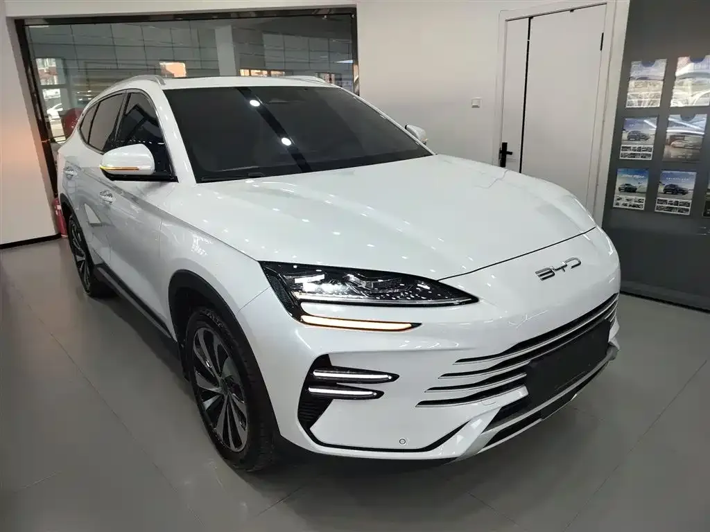 BYD PLUS New Energy — фото 4