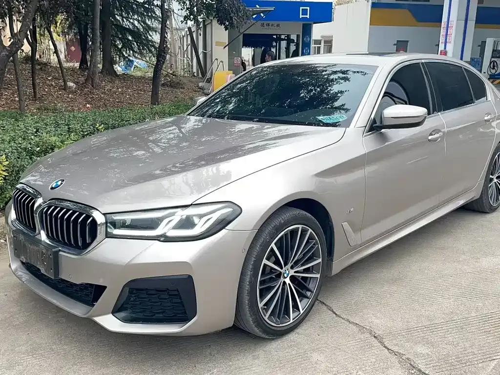 BMW 5 Series 2021 из CN, фото 1
