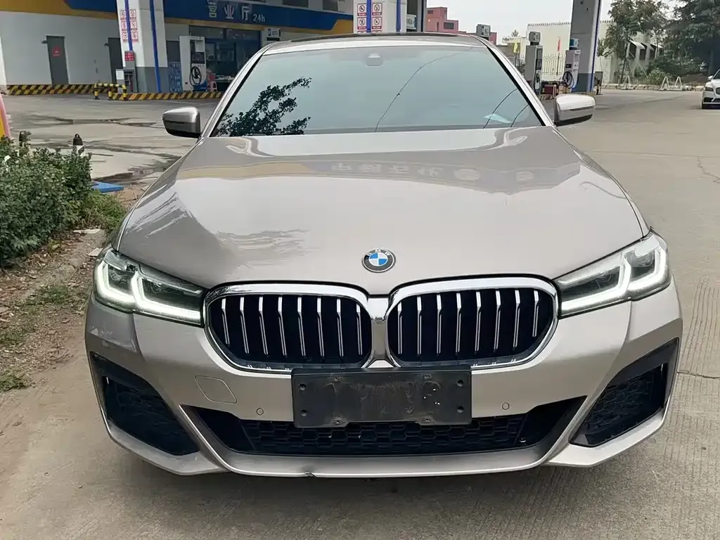 BMW 5 Series 2021 из CN, фото 2