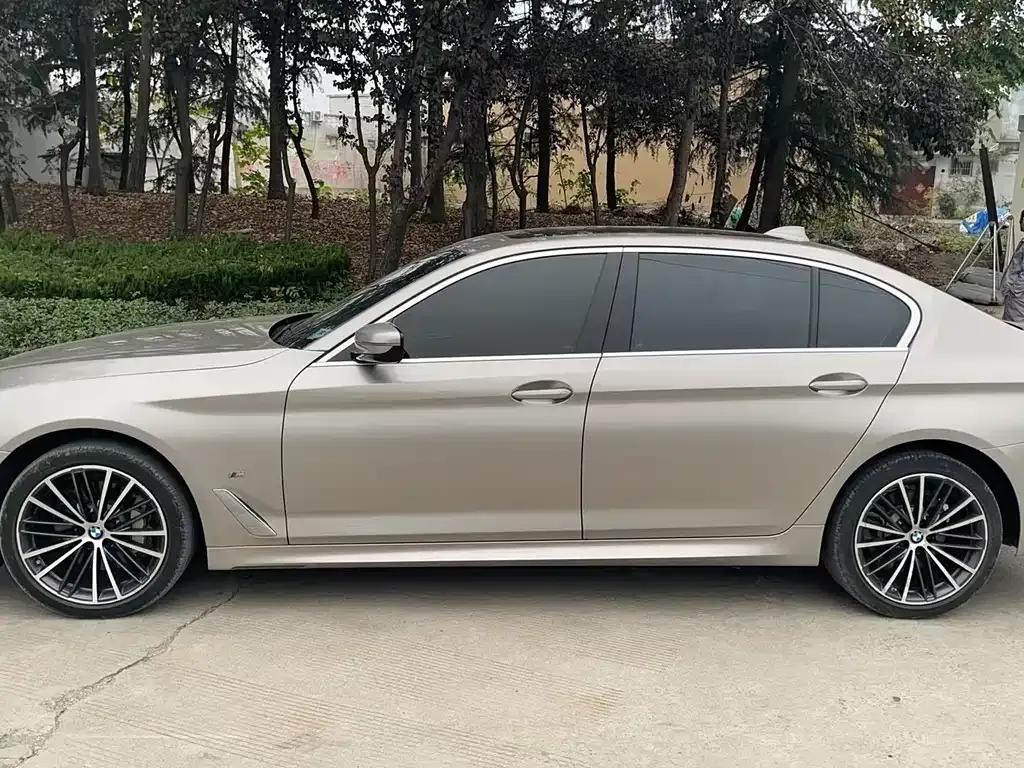 BMW 5 Series 2021 из CN, фото 3