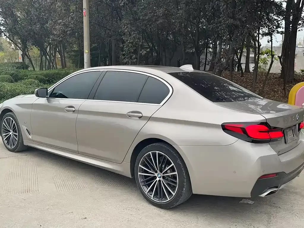 BMW 5 Series 2021 из CN, фото 4