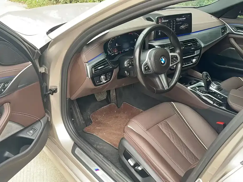 BMW 5 Series 2021 из CN, фото 5