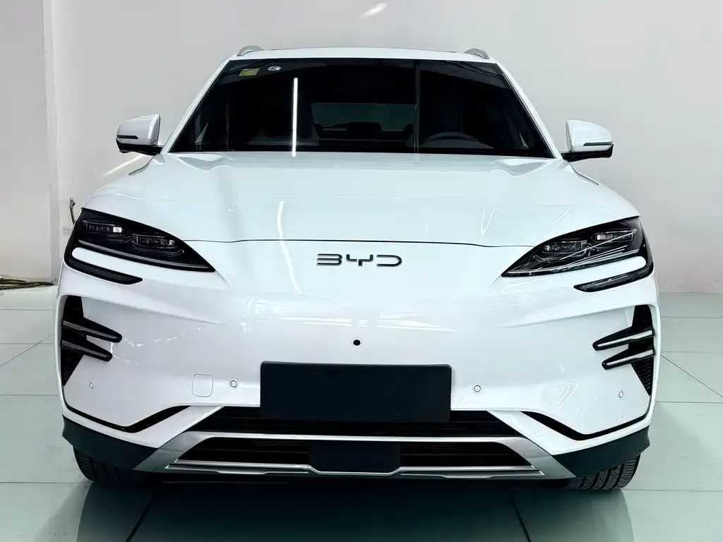 BYD PLUS New Energy 2025 из CN, фото 1