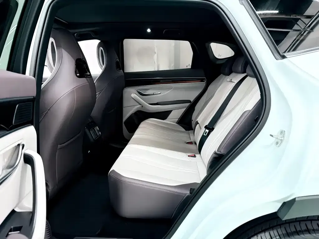 BYD PLUS New Energy 2025 из CN, фото 10