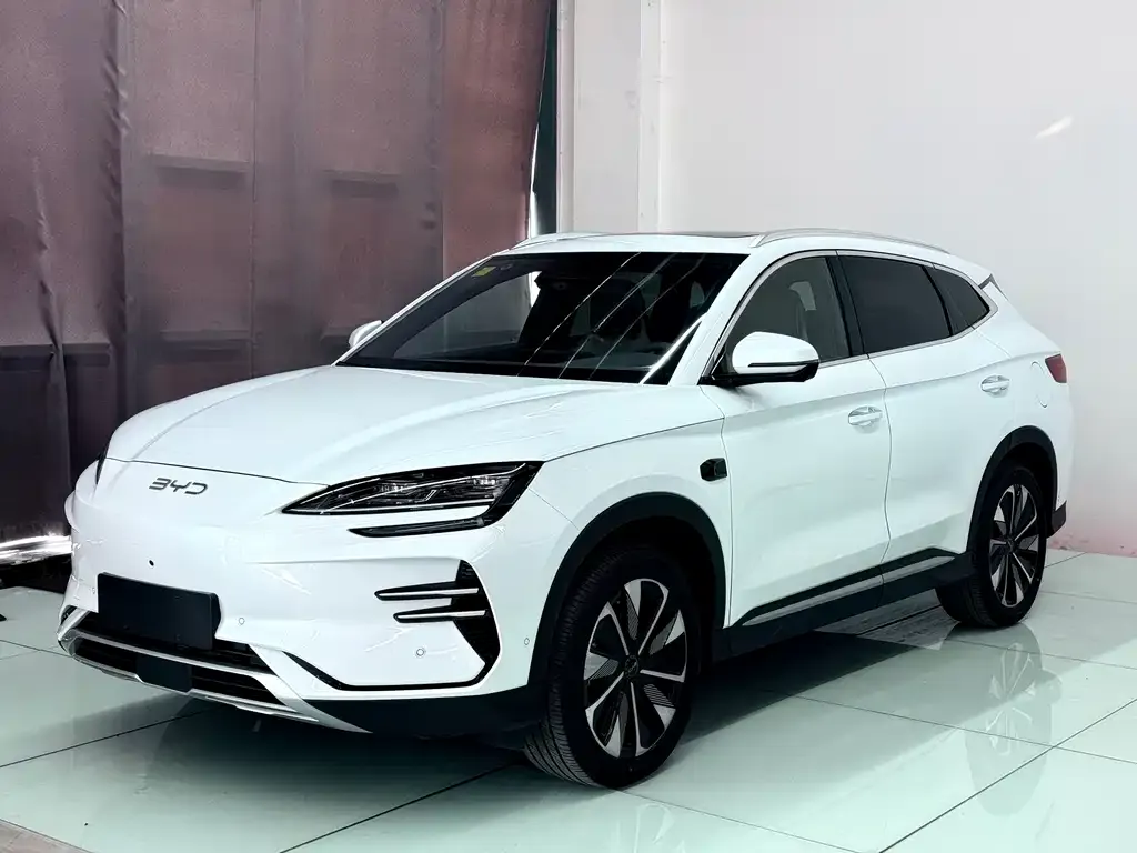 BYD PLUS New Energy 2025 из CN, фото 2