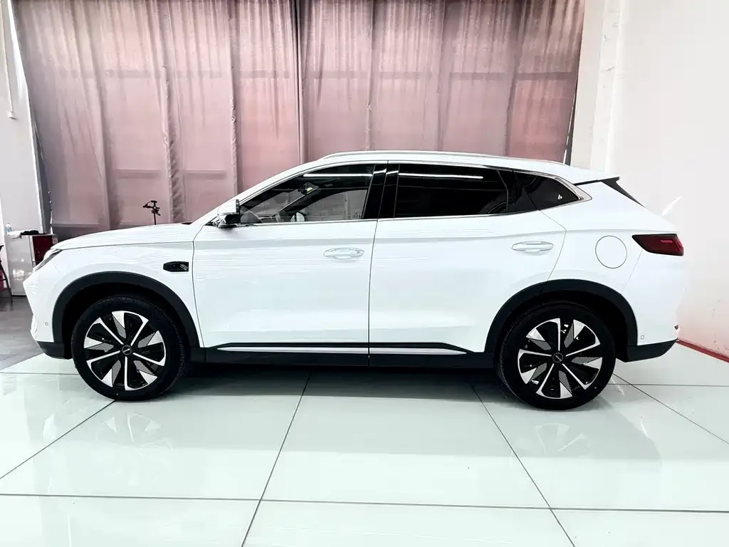 BYD PLUS New Energy 2025 из CN, фото 3