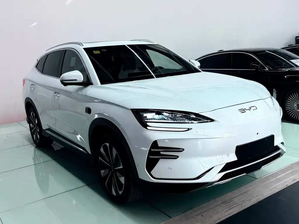 BYD PLUS New Energy 2025 из CN, фото 8