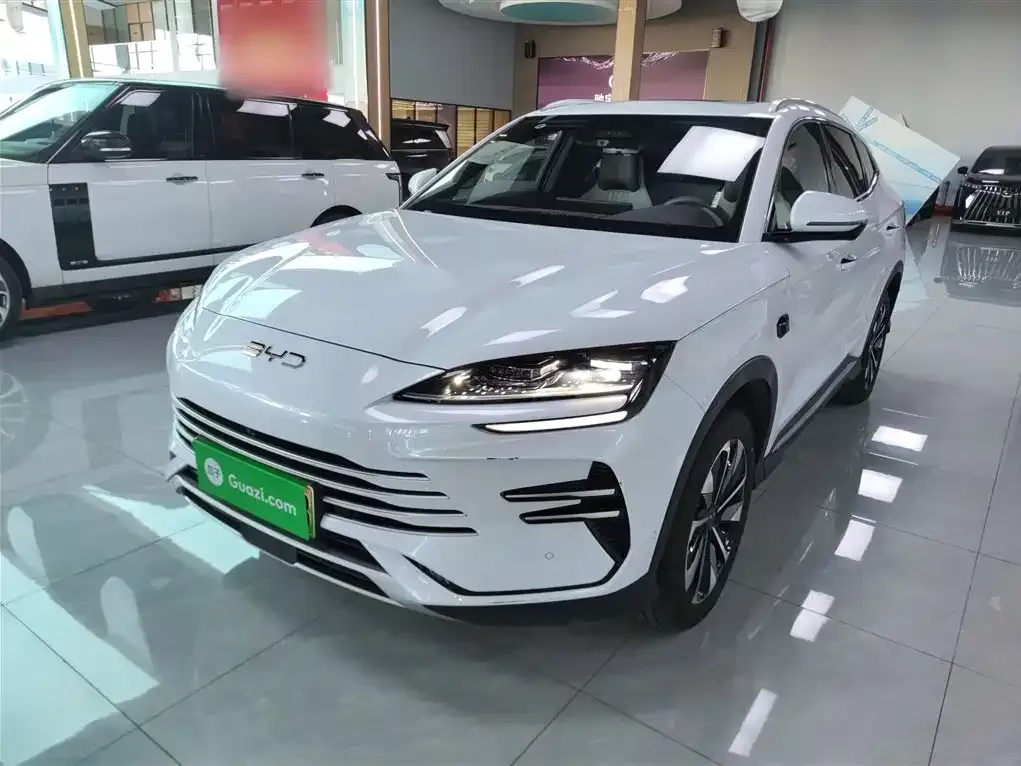 BYD PLUS New Energy — фото 1