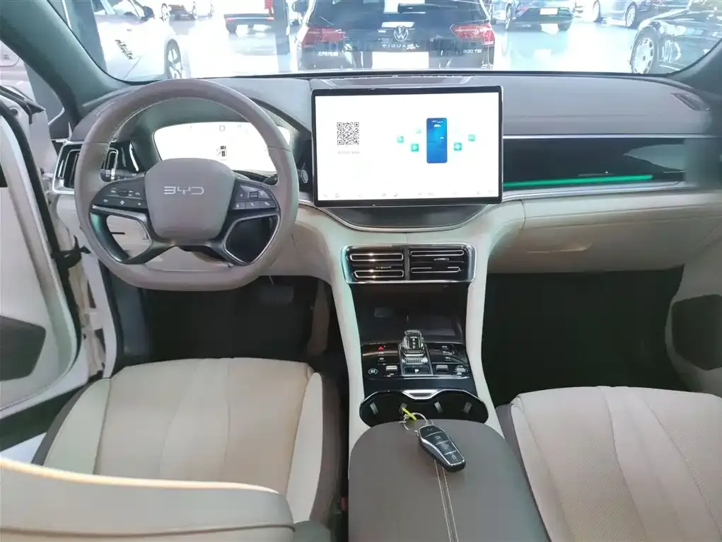 BYD PLUS New Energy — фото 10