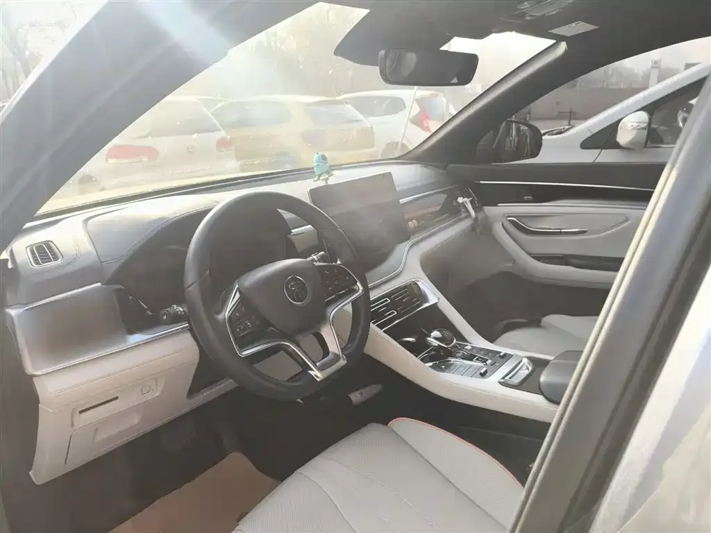 BYD PLUS New Energy 2022 из CN, фото 10