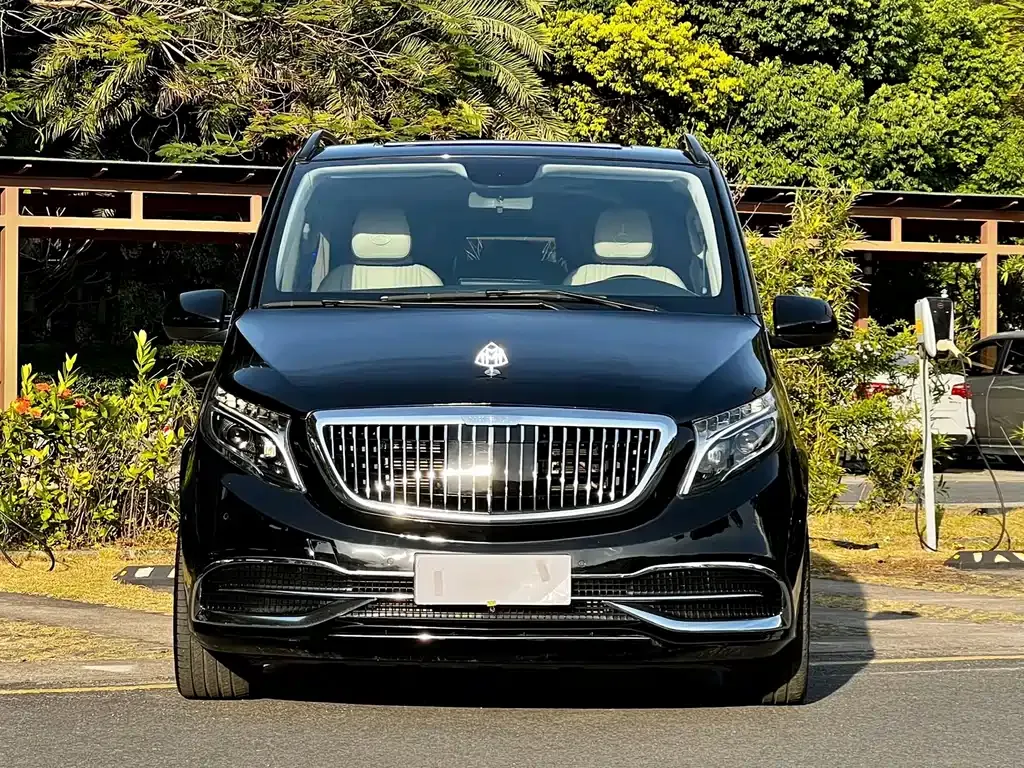 Mercedes-Benz Vito 2021 из CN, фото 2