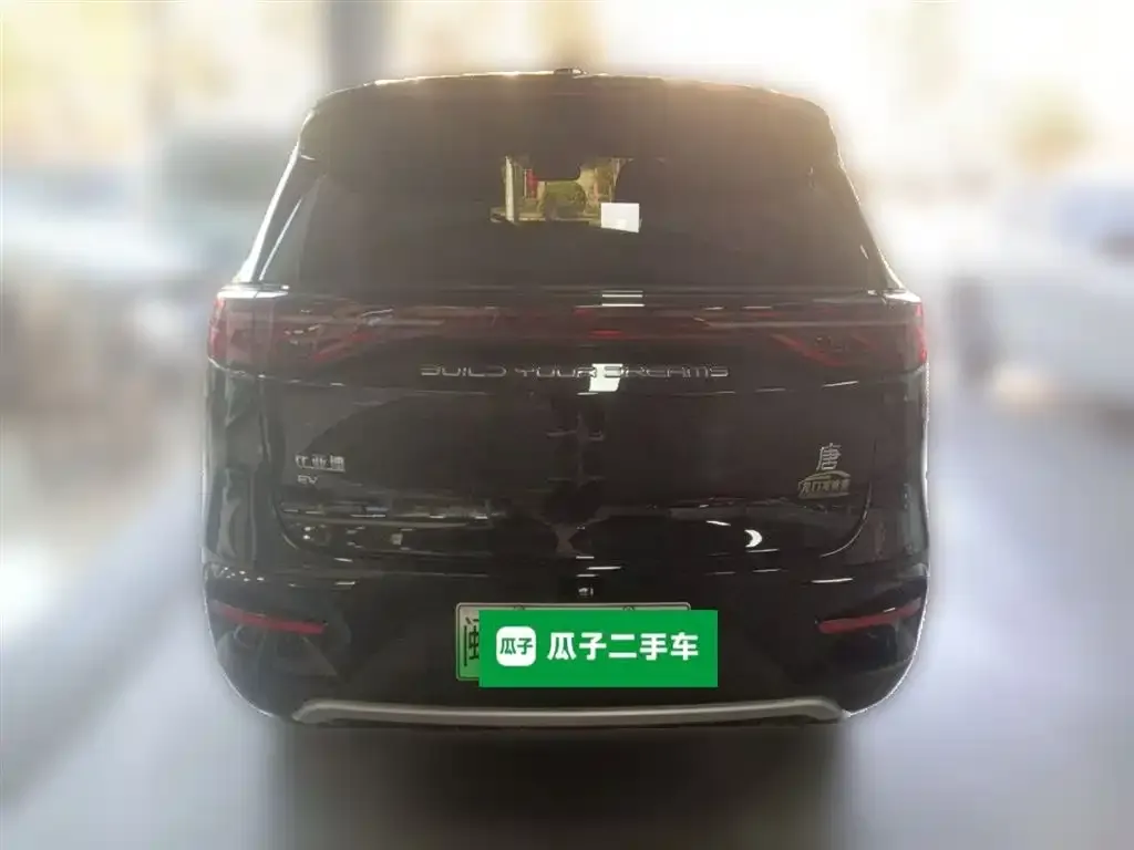 BYD Tang New Energy 2024 из CN, фото 10