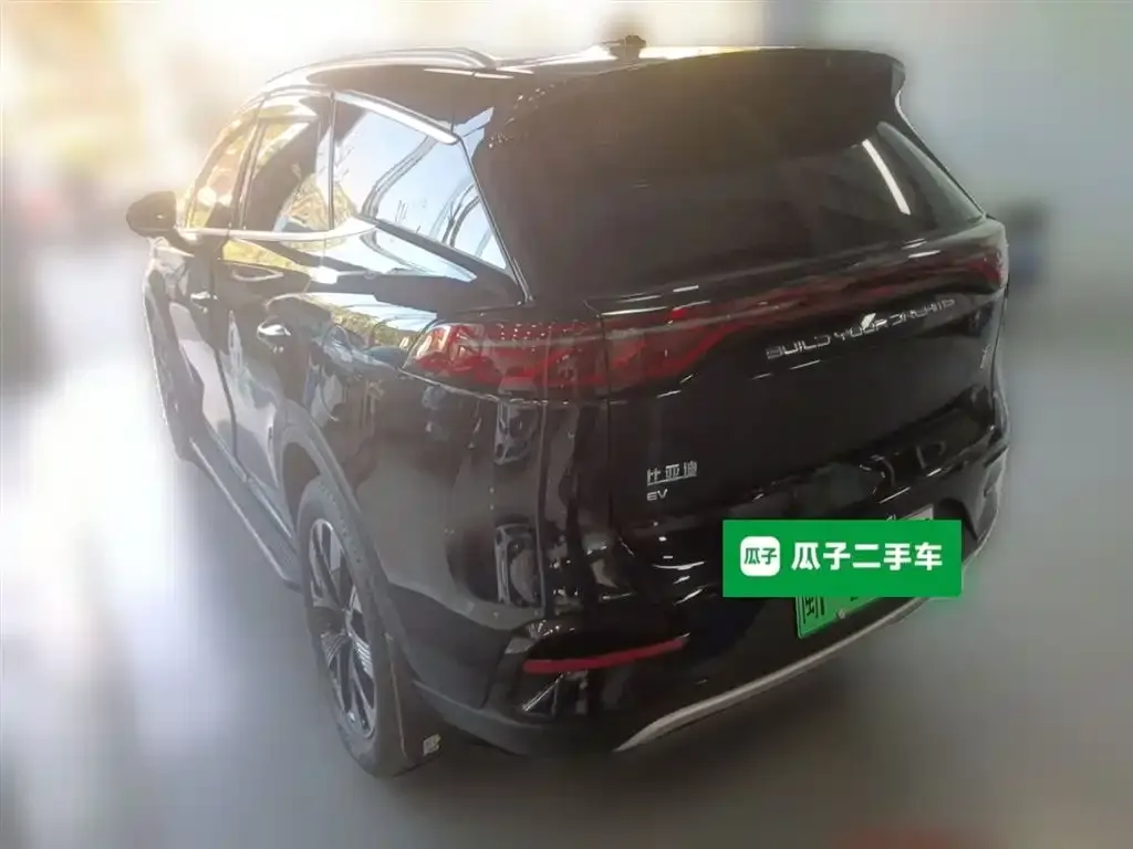 BYD Tang New Energy 2024 из CN, фото 9