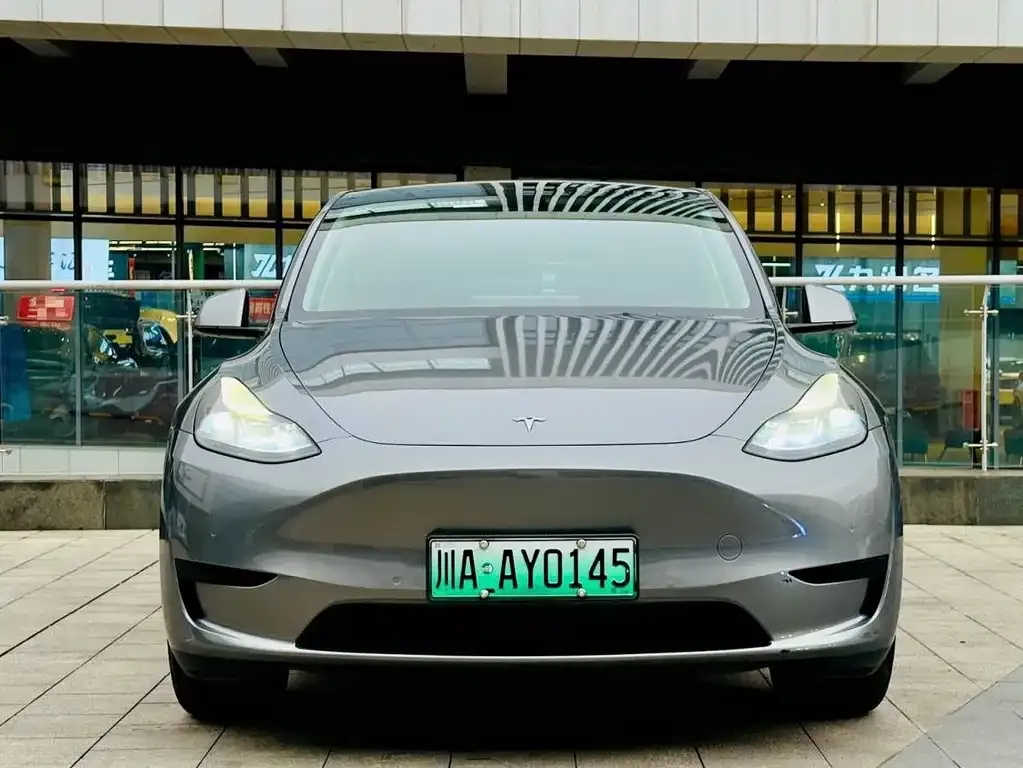 Tesla Model Y 2023 из CN, фото 2