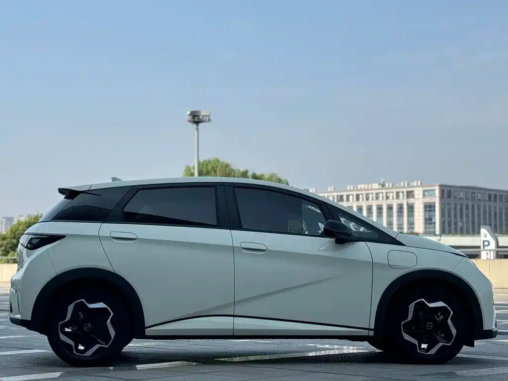 BYD Dolphin 2025 из CN, фото 4