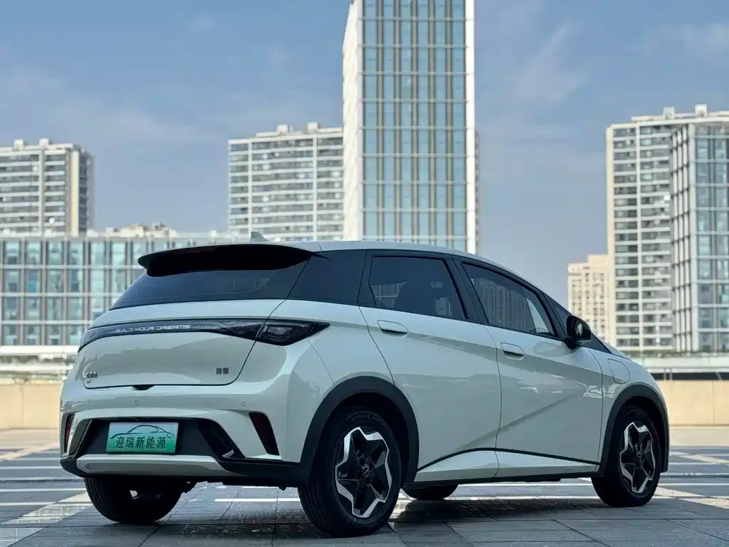 BYD Dolphin 2025 из CN, фото 5