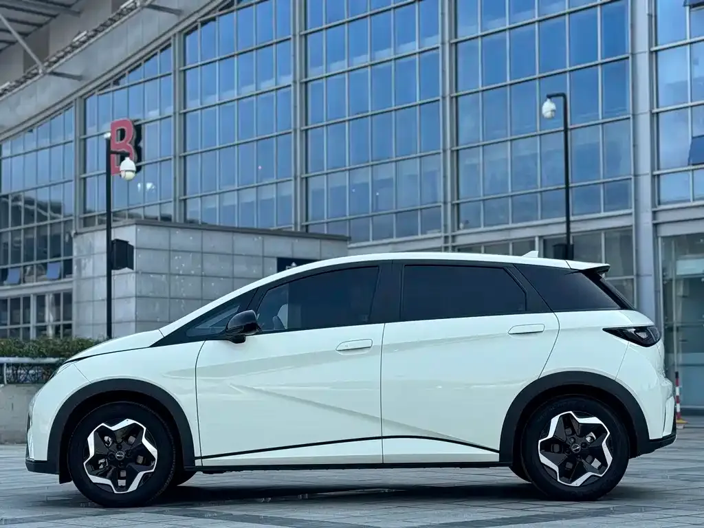 BYD Dolphin 2025 из CN, фото 8