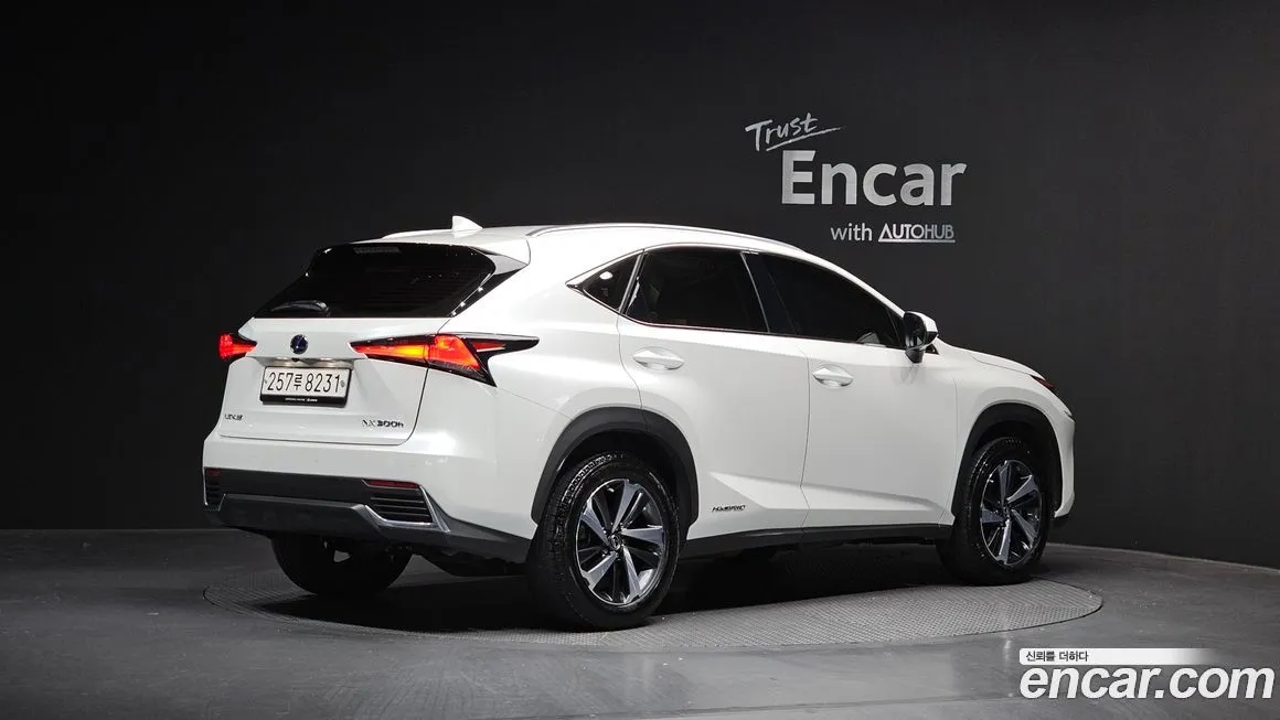 Lexus NX 2021 из KR, фото 2